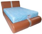 Shelly Bed