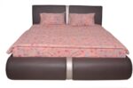 shelly bed